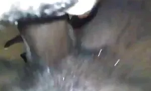 आबनूस रानी मेरो डिक  ...